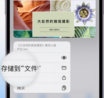 沁阳apple维修中心分享iPhone文件应用中存储和找到下载文件