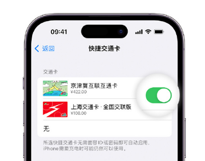 沁阳apple维修点分享iPhone上更换Apple Pay快捷交通卡手绘卡面 