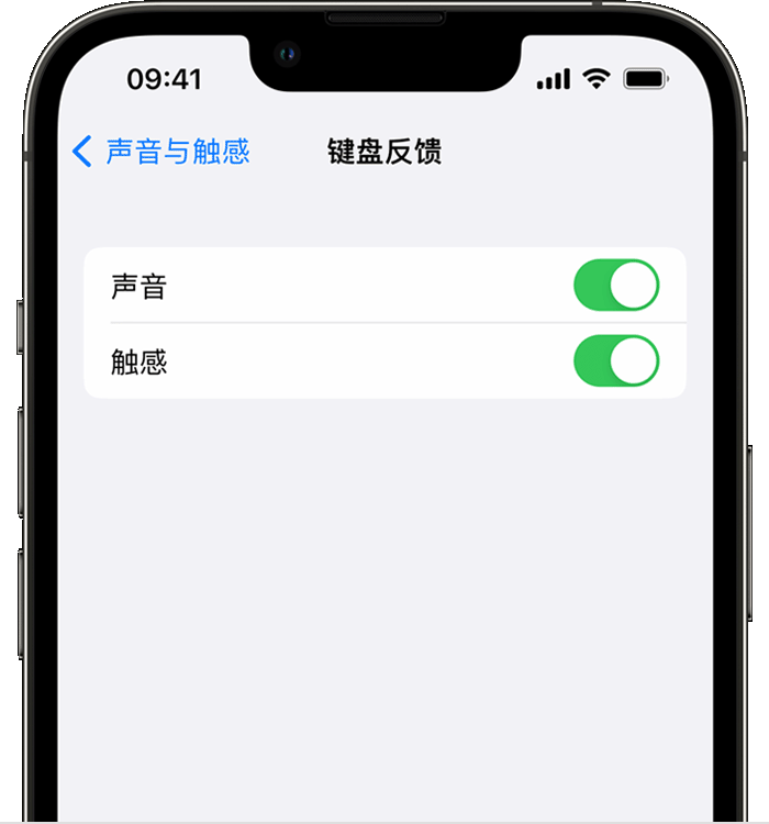 沁阳苹果14维修店分享如何在 iPhone 14 机型中使用触感键盘 