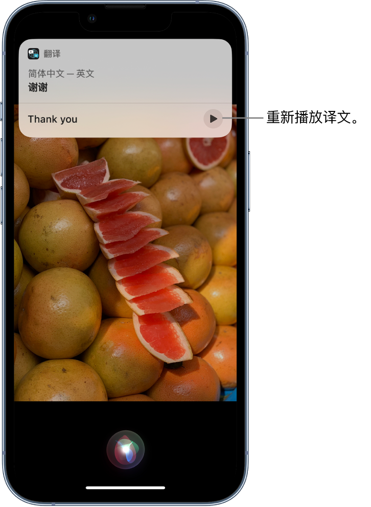 沁阳苹果14维修分享 iPhone 14 机型中使用 Siri：了解 Siri 能帮你做什么 