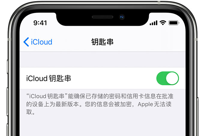 沁阳苹果手机维修分享在 iPhone 上开启 iCloud 钥匙串之后会储存哪些信息 