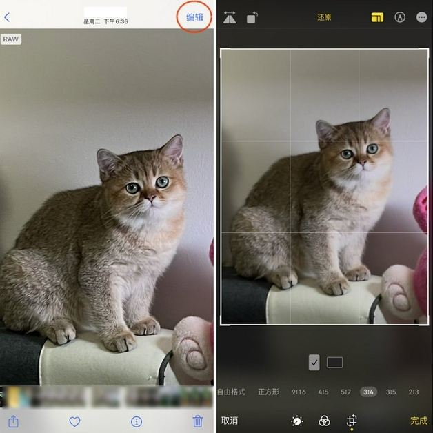 沁阳苹果手机维修分享苹果 iPhone 12 Pro 拍照会过度锐化 