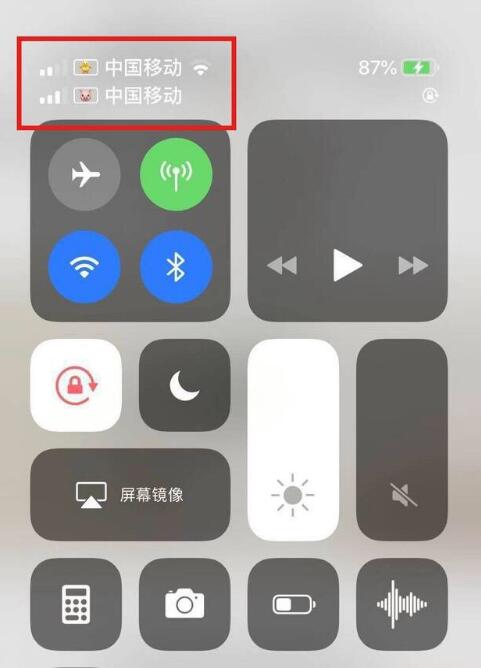 沁阳苹果手机维修分享为 iPhone 12 双卡设置标签 